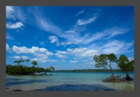 Landscapes