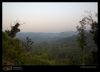 Landscapes