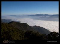 Landscapes