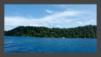 Landscapes