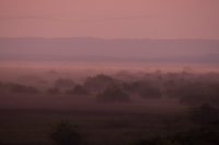Landscapes