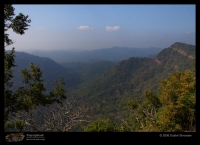 Landscapes