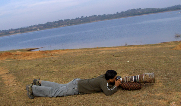 :resources:articles:bird-photography:hpim1103-sudhir.jpg :resources:articles:bird-photography:hpim1103-sudhir.jpg