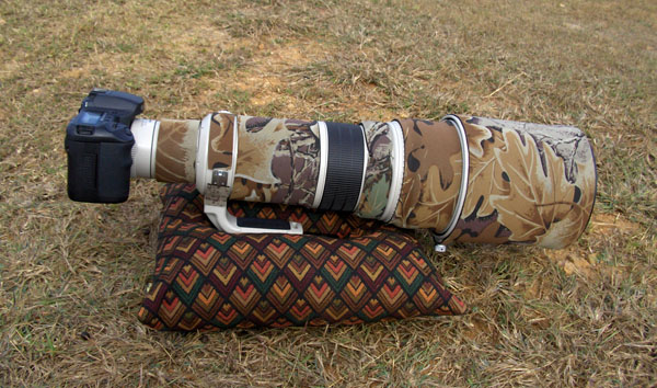 :resources:articles:bird-photography:hpim1105-bean-bag.jpg :resources:articles:bird-photography:hpim1105-bean-bag.jpg