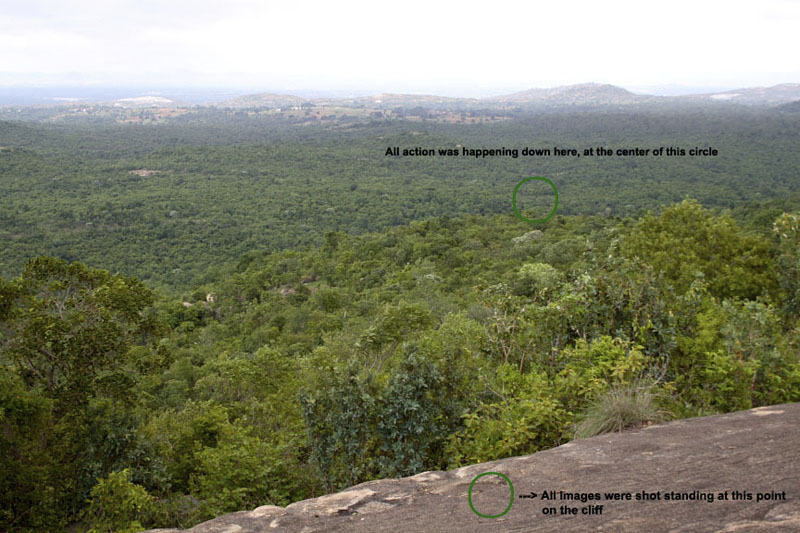 :trip-reports:bannerghatta_june06:mg_2380-view.jpg