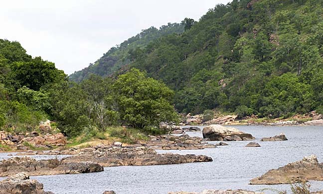 :trip-reports:crw_7243-habitat-1.jpg :trip-reports:crw_7243-habitat-1.jpg