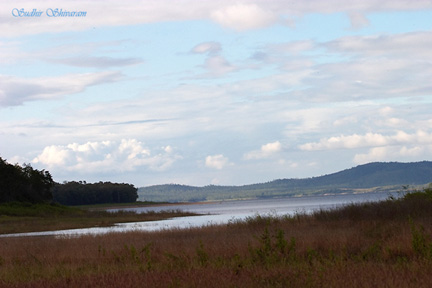 :trip-reports:crw_8720-habitat-web.jpg :trip-reports:crw_8720-habitat-web.jpg