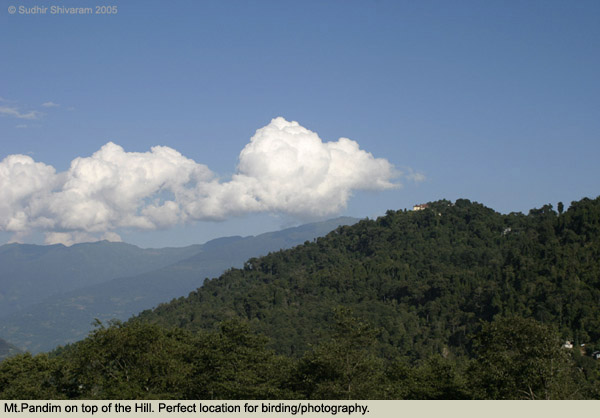 :trip-reports:img_1772-pandim.jpg :trip-reports:img_1772-pandim.jpg